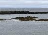 IMG_9961.HEIC_compressed.JPEG